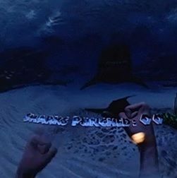 Shark Punch