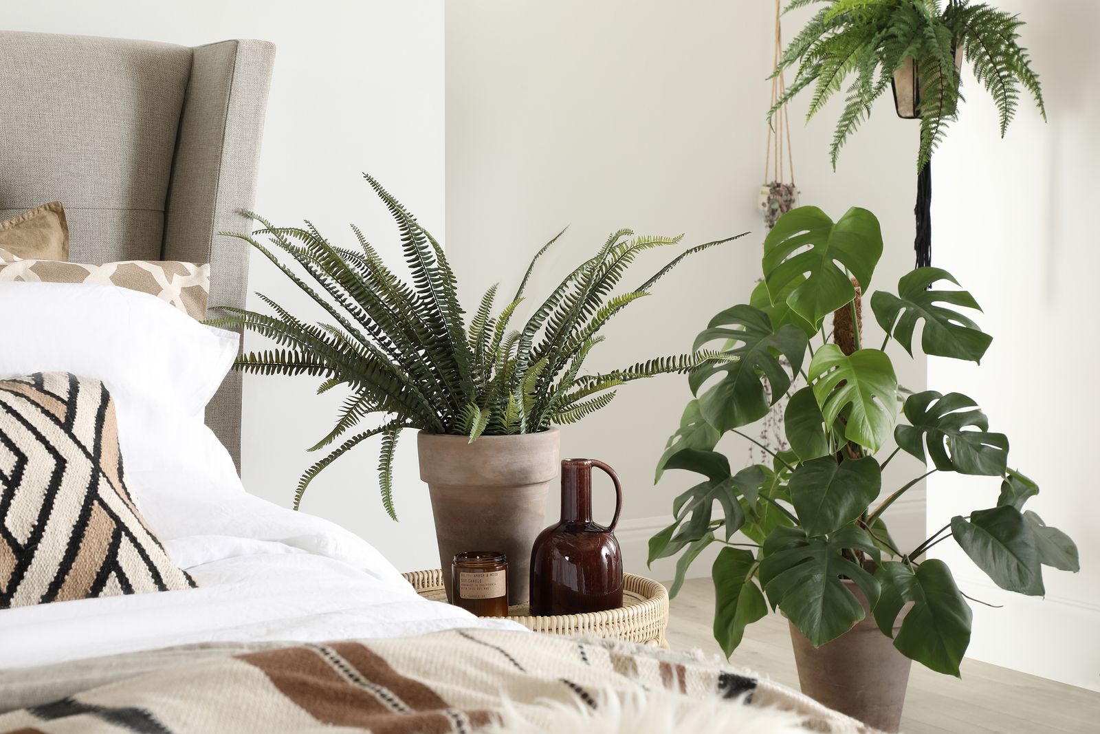 10 best bedroom plants for better air quality and a beautiful sleeping ...