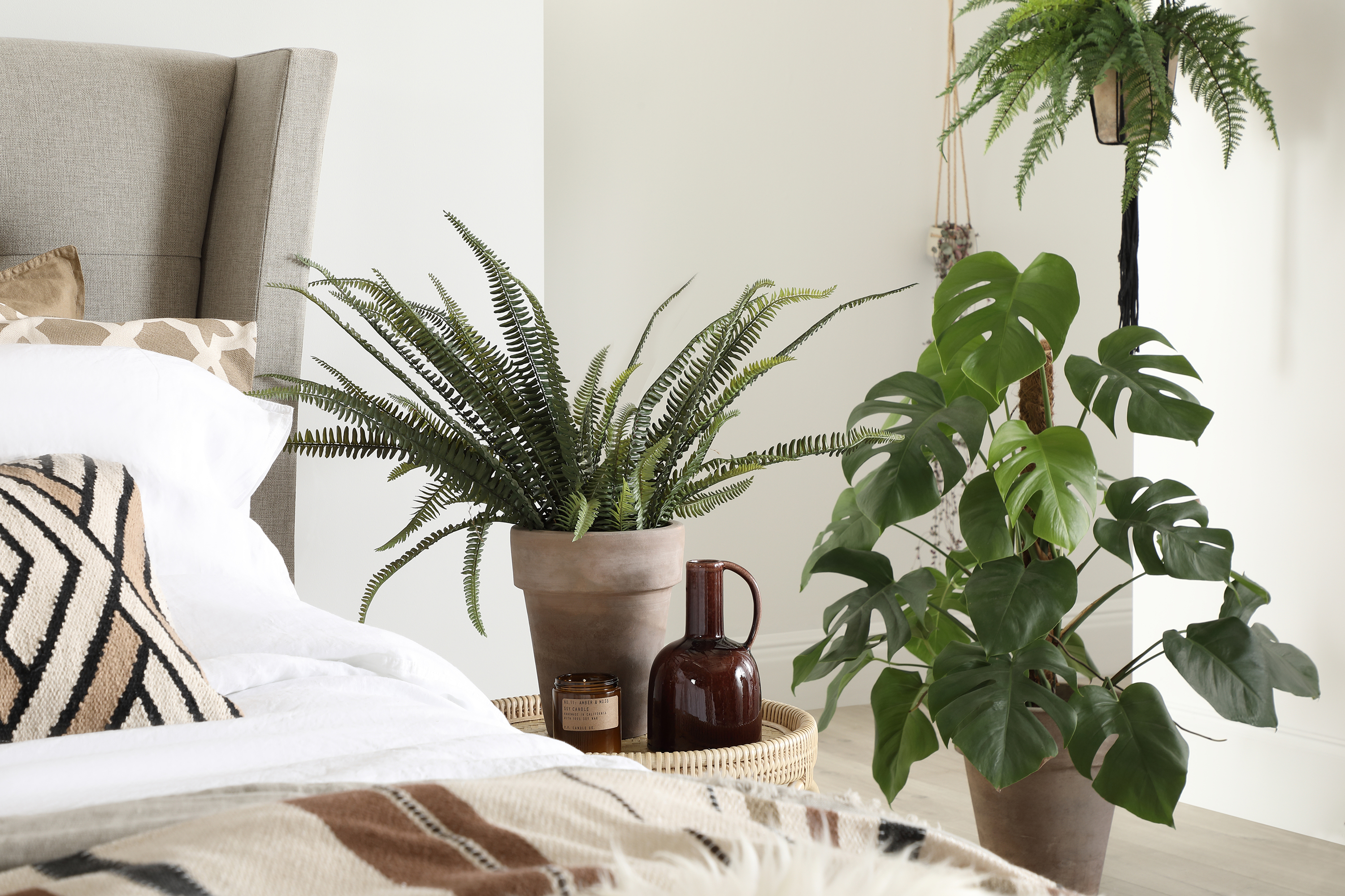 Best Bedroom Plants 5 Ways To Bring Foliage Into The