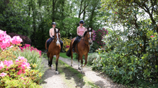 Two women in pink tops ride bay horses down a yard track on a sunny day. Pink and yellow flowers feature in the fore- and background.