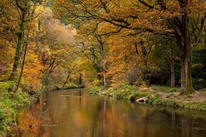 River Teign, autumn walk