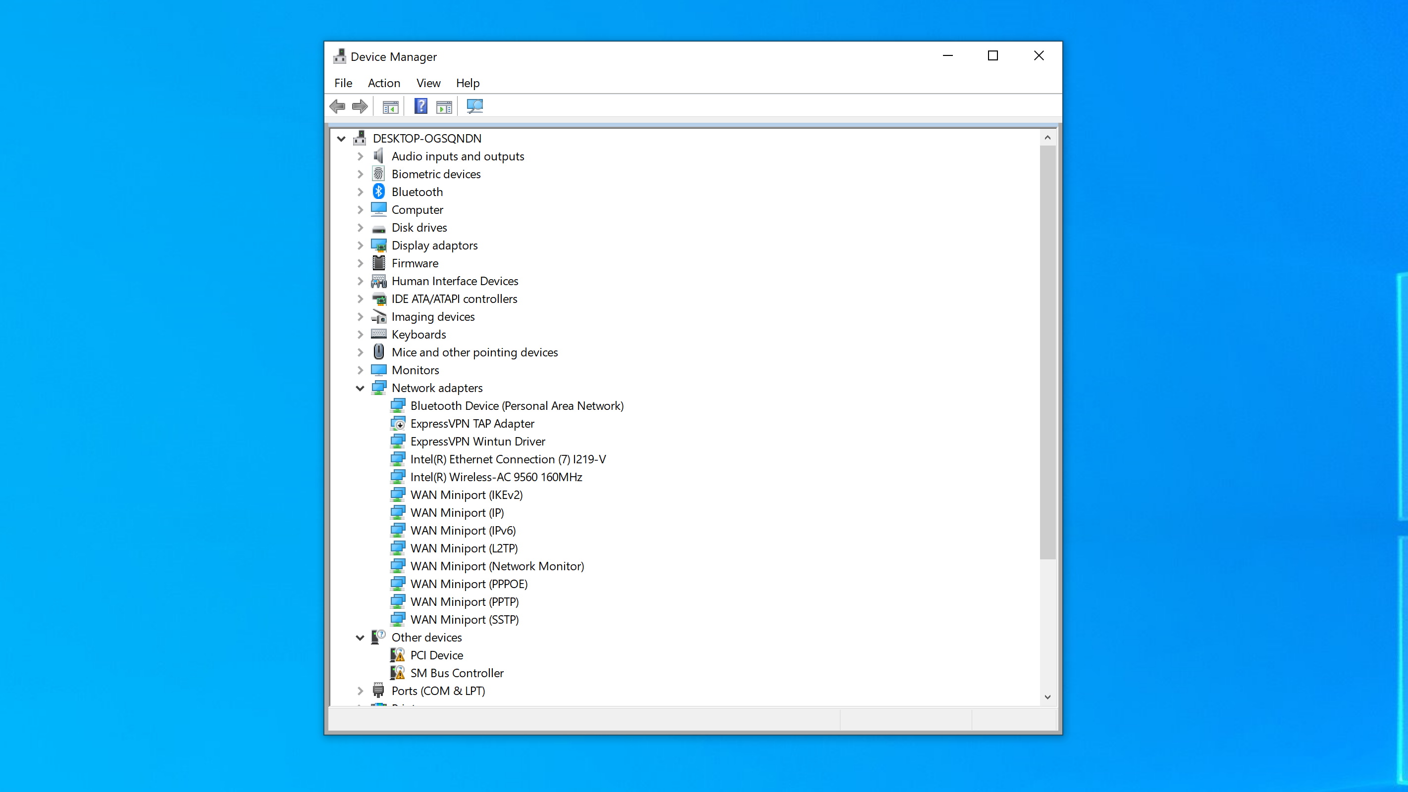 Device manager screenshot