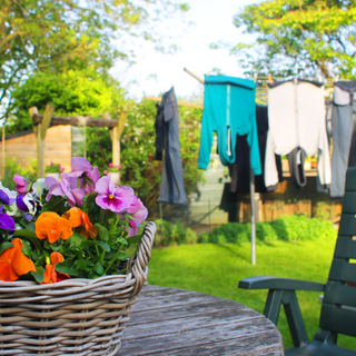 Basket of flowers with a clothes airier in the background