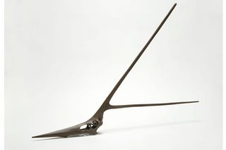 <i>Nyctosaurus</i>, a pterosaur that lived 84 million years ago, had two long, thin bones sticking out of its head.