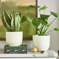 16. The Sill Plant Subscription Service from $180 