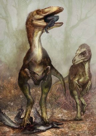 Illustration of dinosaur Sinocalliopteryx gigas,