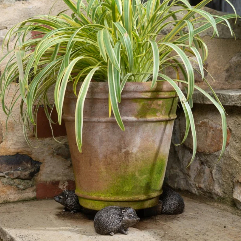 Terracotta plant pot in a garden balanced on bronze coloured hedgehog plant pot feet