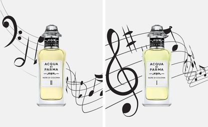 Designer Perfumes, Fragrances & Colognes - Acqua di Parma Online Boutique