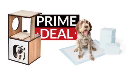 Amazon Prime Day pet supplies