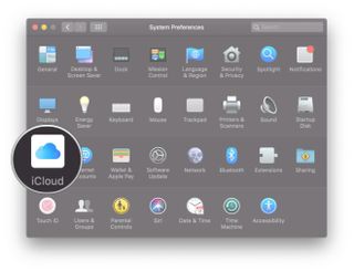 Open System Preferences, then click iCloud