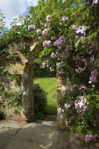 roses around a stone archway in a wall