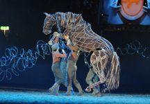 War_Horse1.jpg
