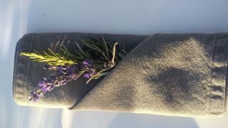 sprig of lavender