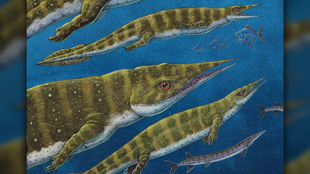 Fearsome Triassic 'ocean lizard' was a tweezer-nosed weirdo