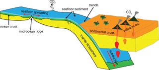 The Earth's tectonic carbon conveyor belt shifts massive amounts of carbon between the deep Earth and the surface, from mid-ocean ridges to subduction zones, where oceanic plates carrying deep-sea sediments are recycled back into the Earth's interior. The processes involved play a pivotal role in Earth's climate and habitability.