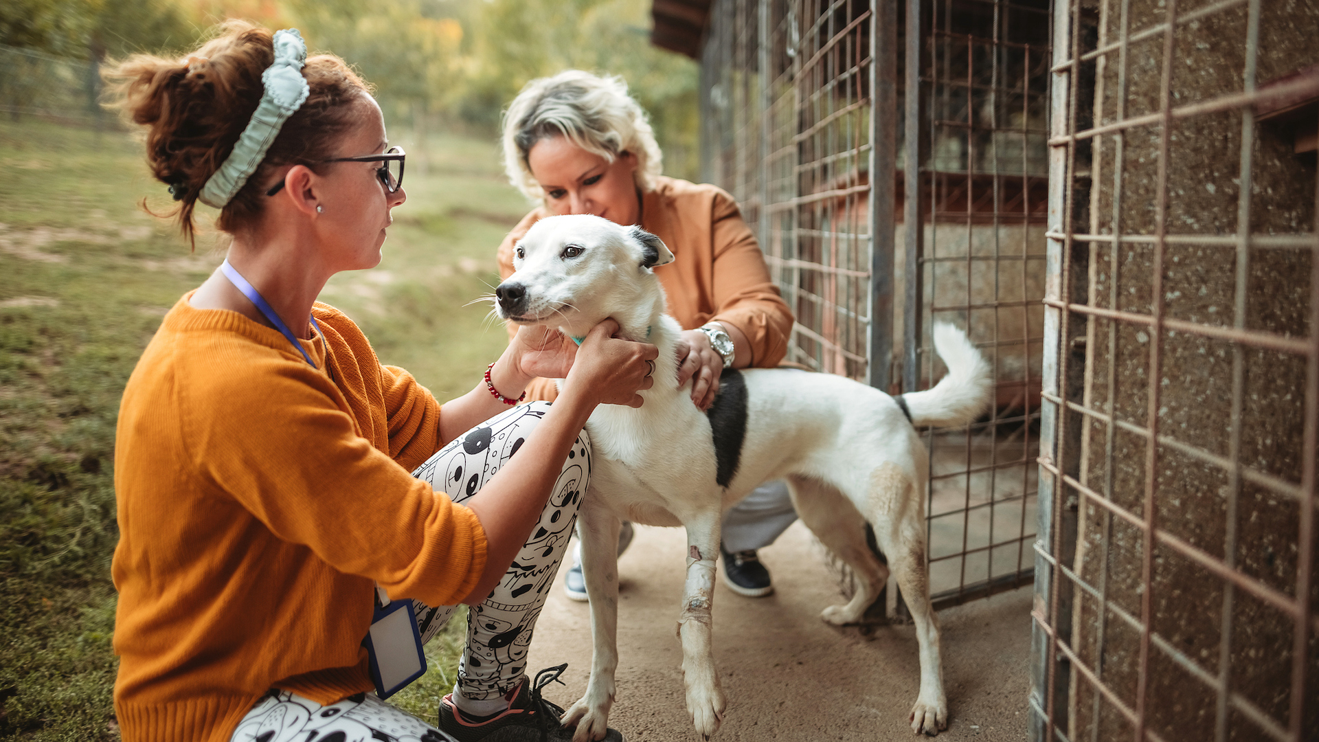 Dog at rescue centre meeting women