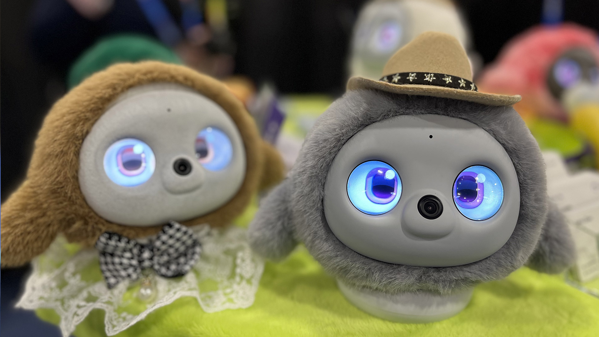 Two robot pets with LED eyes a wearing cowboy hat and bow tie