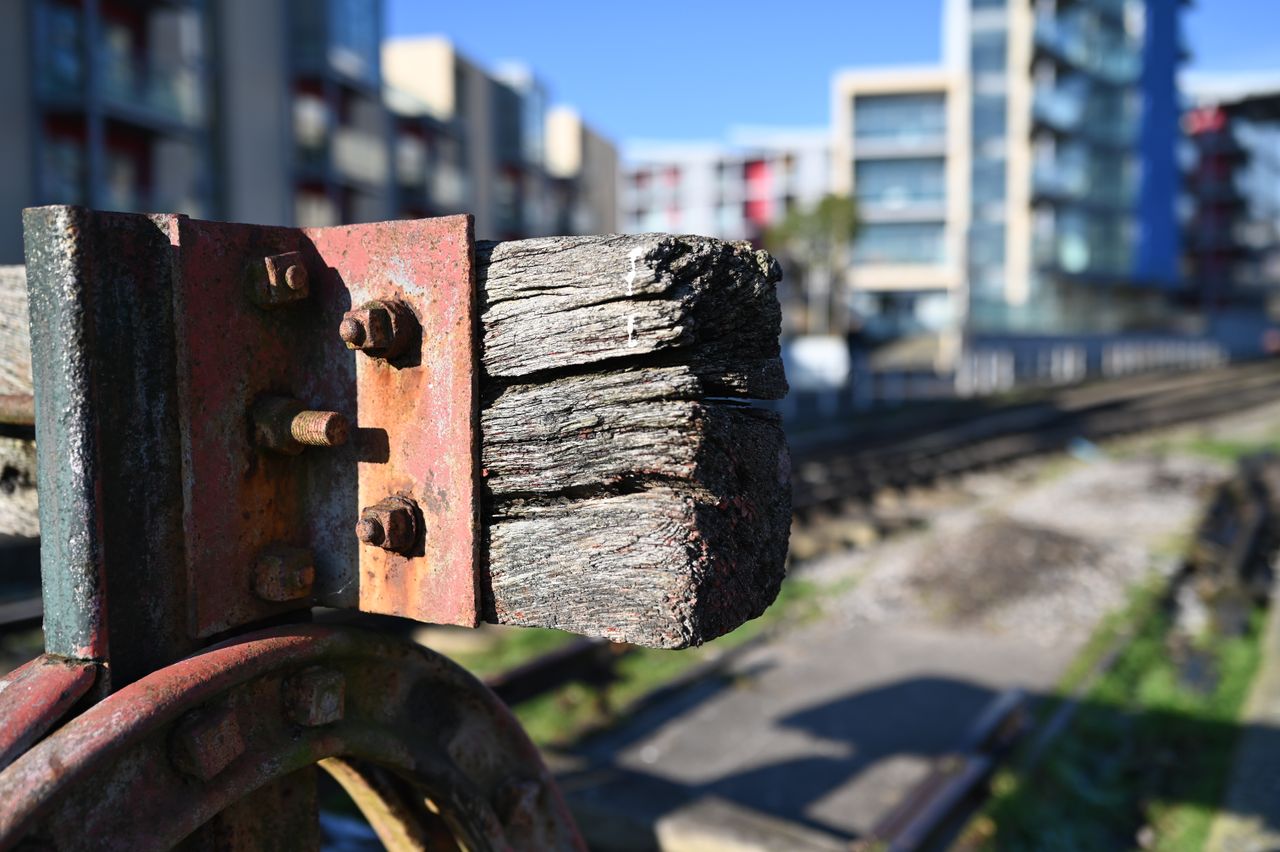Nikon Z 35mm f/1.2 S example shot