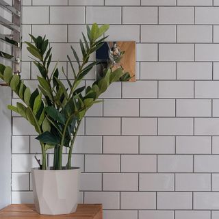 plant in white pot and white brick designed wall