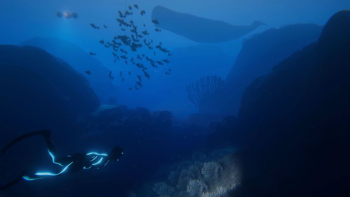 Beyond Blue is an underwater exploration game inspired by BBC's Blue ...