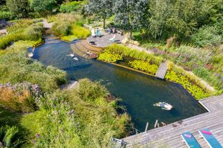 Natural swimming pool with man swimming in garden