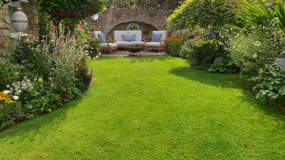 stretch of green lawn in back garden