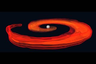 Neutron star and black hole collide