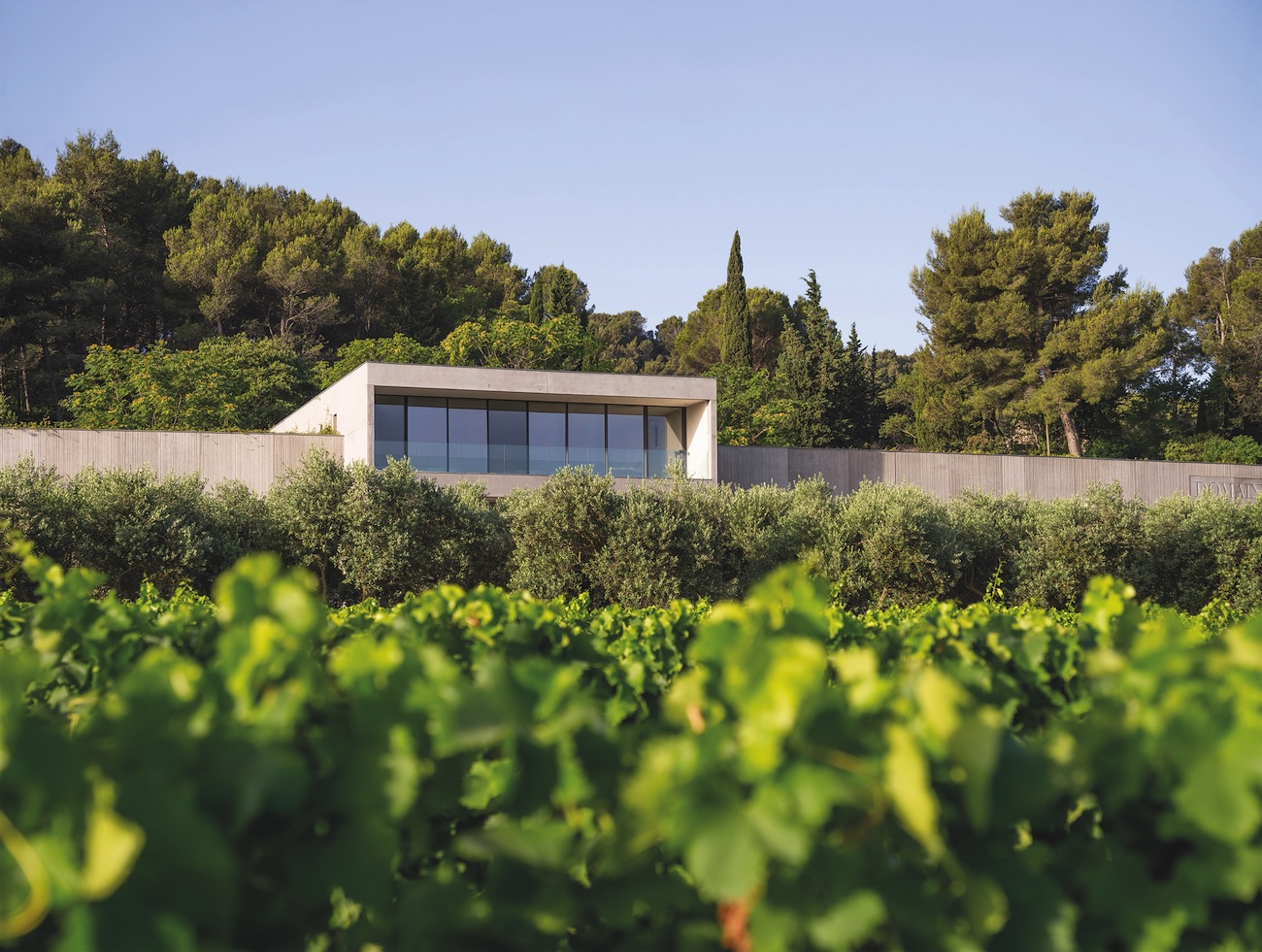 the tasting room at Domaine de M&amp;eacute;tifiot