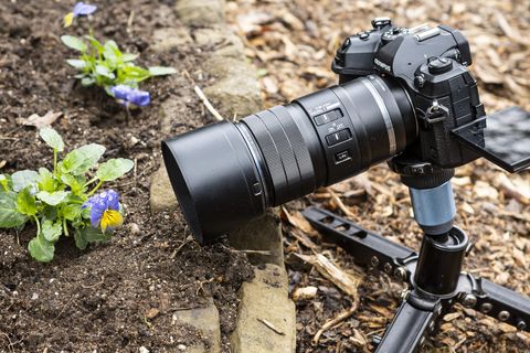 Objectif macro 90 mm d'OM System monté sur l'appareil photo OM-1 dans un jardin à côté de fleurs