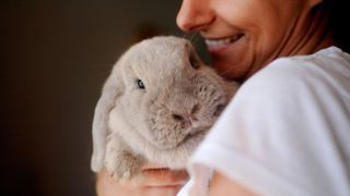 Activities to do with your bunny: Woman cuddling a grey bunny