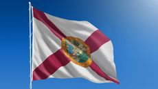 Florida state flag for Florida state tax guide