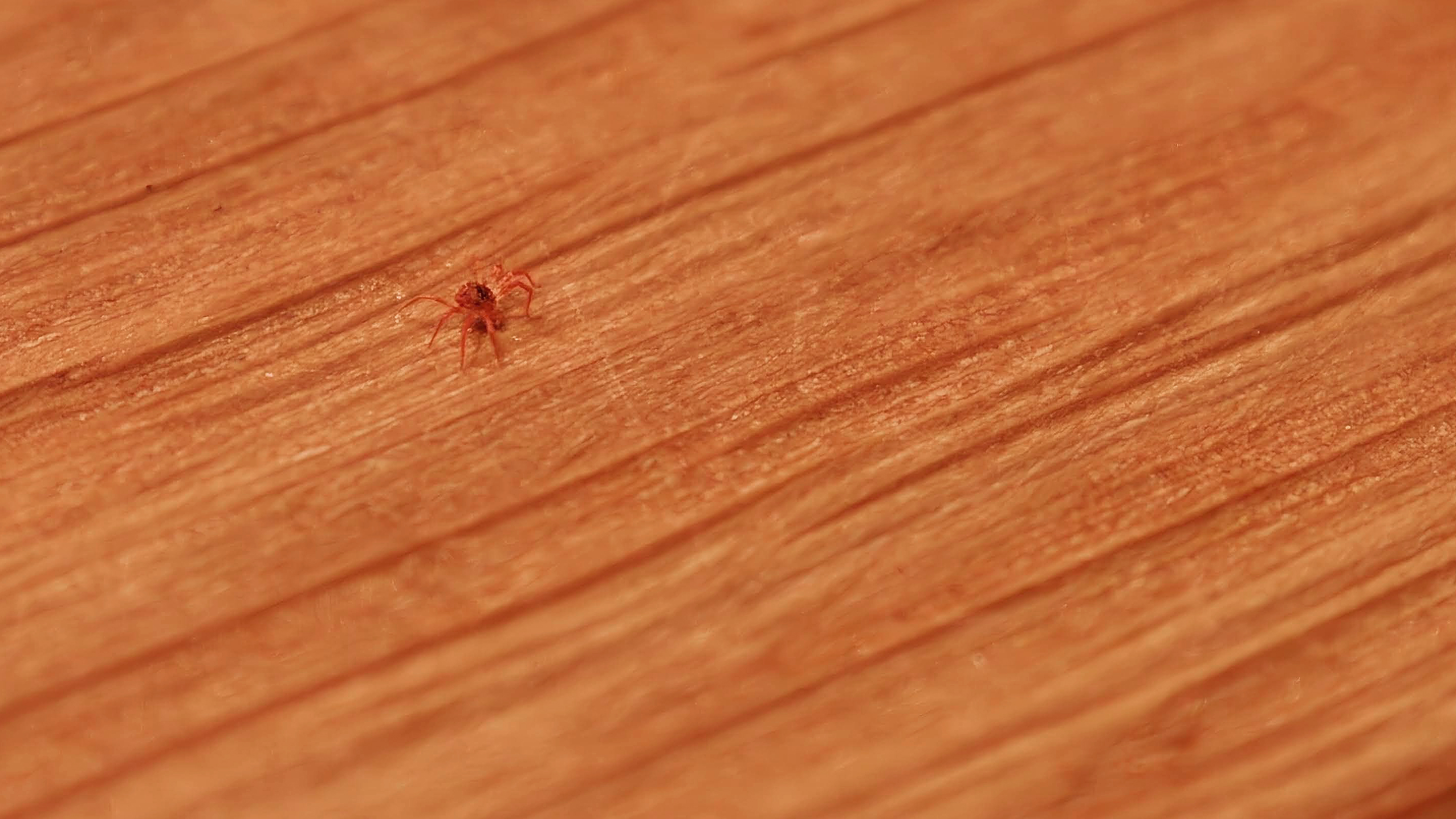 Oppo Find X9 Ultra camera review