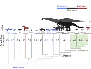 Comparative growth rates in vertebrates, including dinosaurs.