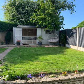 Lawn area with painted garden shed and egg chair