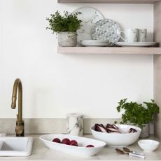 kitchen area with white wall and shelves and wash basin