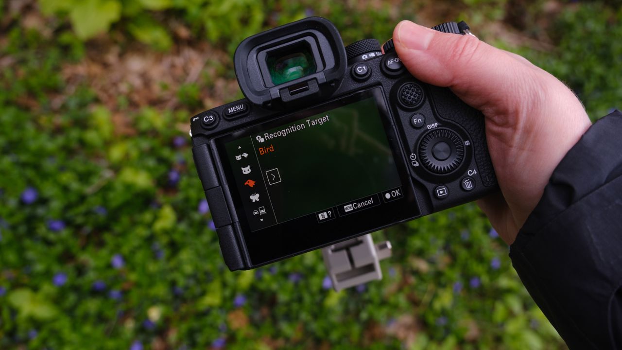 The Sony A7R VI photographed outdoors