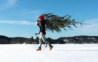 Man with christmas tree