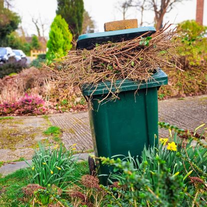 trash can full of yard waste on the curb