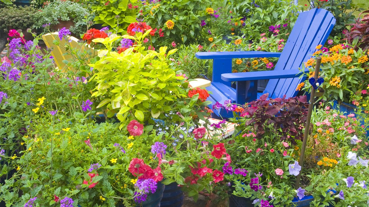 Blue painted garden chair among a riot of plants