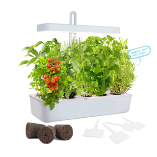 A grow light kit for herbs