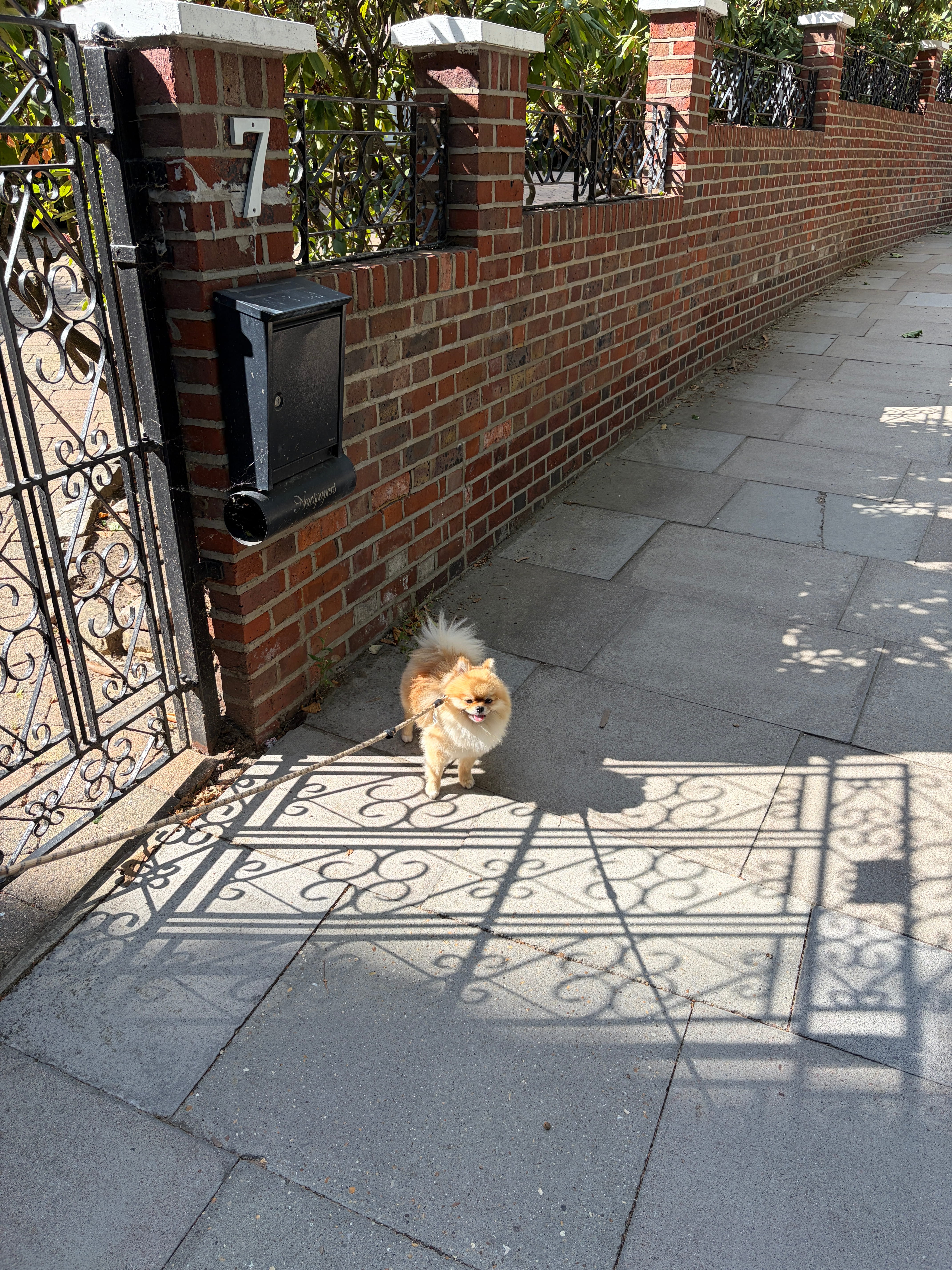 Muestras de cámara del iPhone Air tomadas en Hampstead