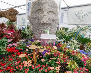 exhibit from the Discovery Zone at RHS Chelsea 2019
