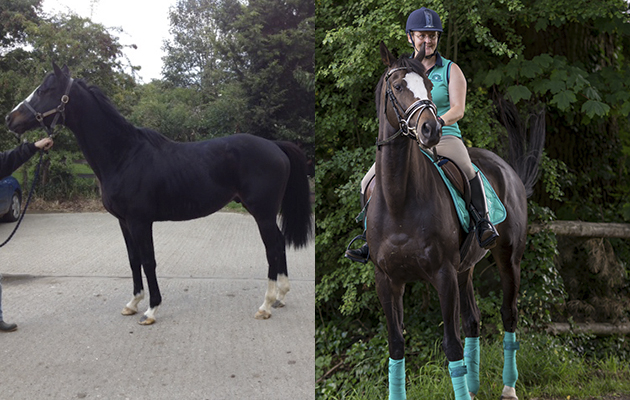 “I have owned Debussy for three years having rehomed him from Darley/Godolphin Rehoming in December 2013. As you have to apply for a horse and they match you rather than you go and select one, I asked for one with four white socks and a white face! When I got the call to say they thought they had the horse for me, I didn’t think in a million years he would have been as perfect as he is — he’s my dream horse. Our path hasn’t been easy — he was diagnosed with kissing spines 18 months after I got him but we seem to have come out the other side and I feel we are finally back on track to dip our toe in the dressage arena. He’s the funniest guy to have around — he’s never happier than when he’s throwing things, opening poppers on my coat, tipping over wheelbarrows or generally causing chaos. I love every single hair on him and I can’t imagine ever being without him” — Larissa Murphy