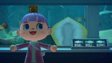 Animal Crossing: New Horizons