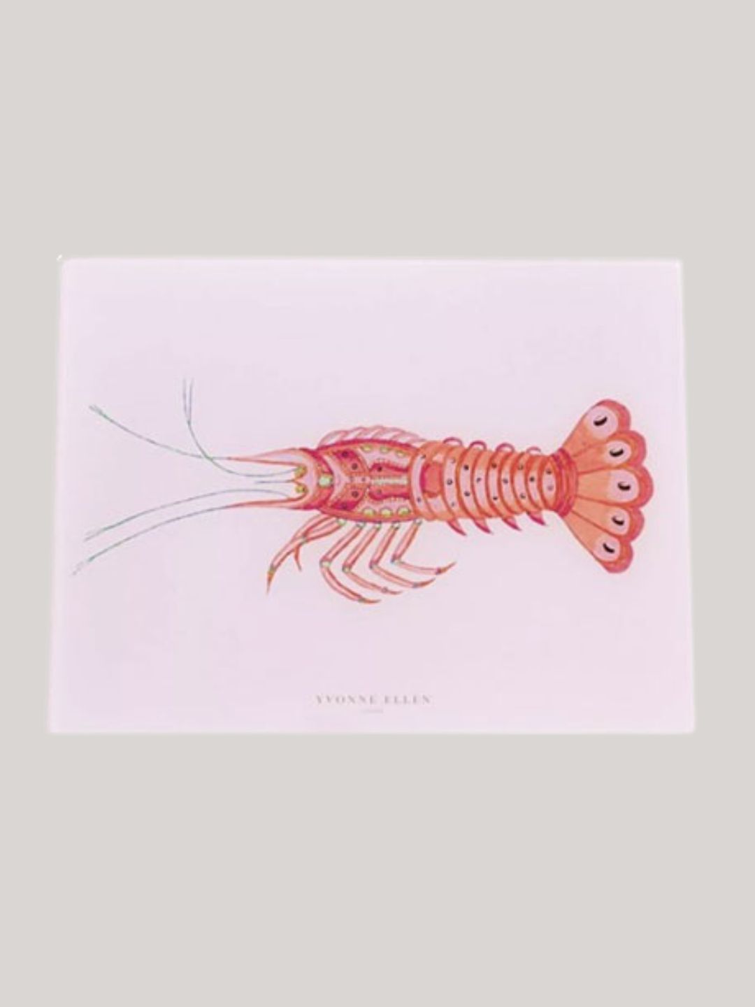John Lewis, Yvonne Ellen Lobster Kitchen Worktop Saver