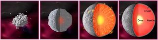 When an asteroid or a protoplanet accretes enough material, it will start to become roughly spherical in shape. The heaviest material will sink into the core, and the body will be become split up into the core, mantle, and crust. This process is known as differentiation.