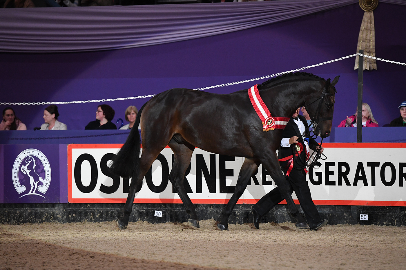 HOYS 08 10 21