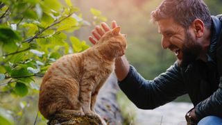 Man petting stray cat