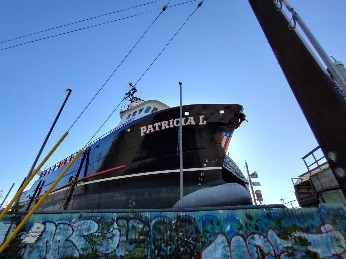 Ultrawide shot of a black boat
