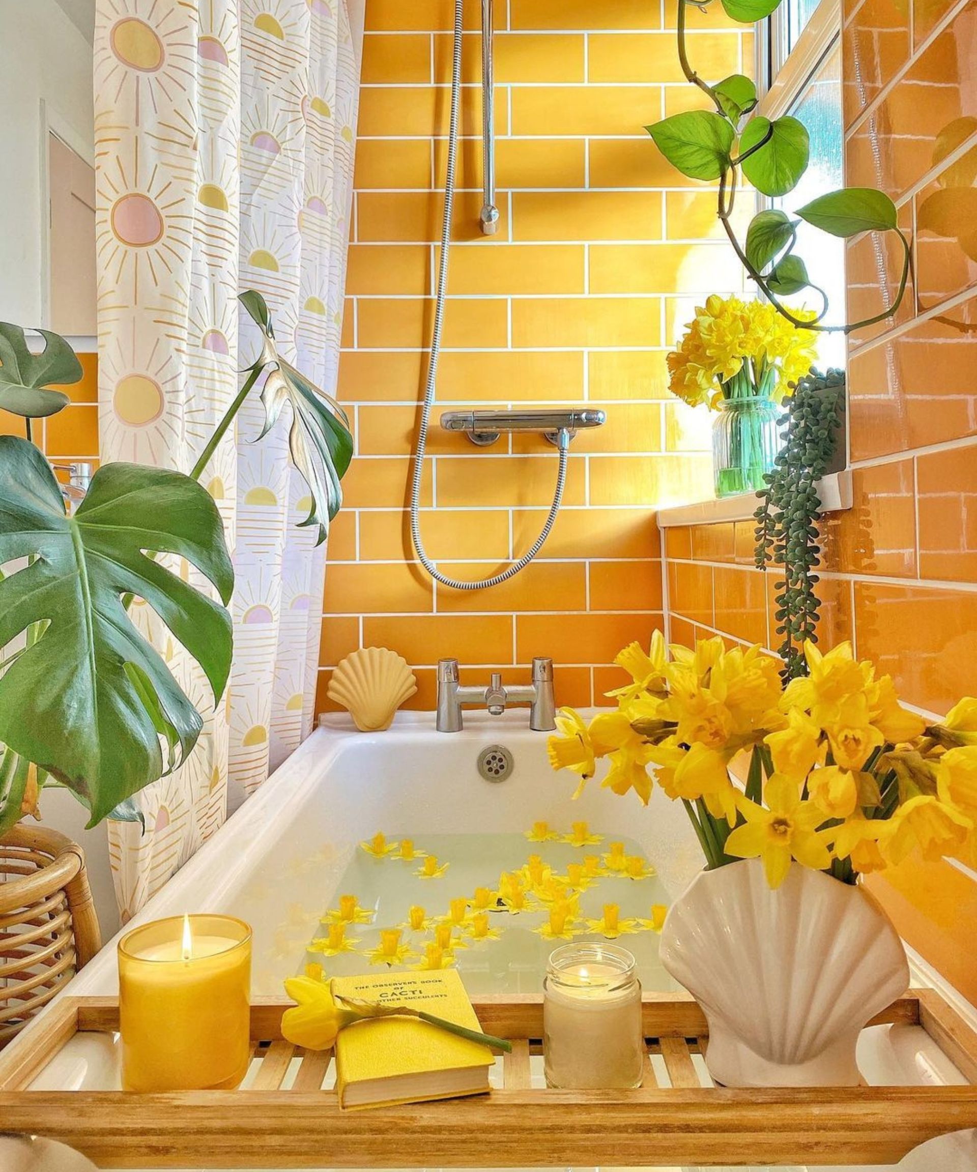 8 colorful small bathroom ideas Real Homes